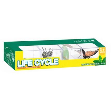 BUTTERFLY - LIFE CYCLE - Image 3